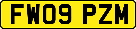 FW09PZM