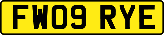 FW09RYE
