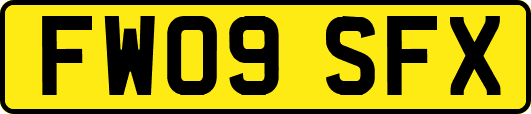 FW09SFX