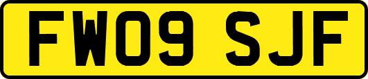 FW09SJF