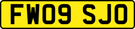 FW09SJO