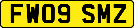 FW09SMZ