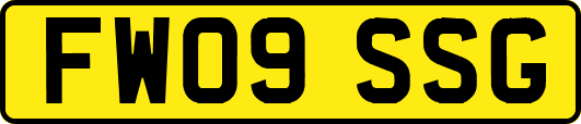 FW09SSG