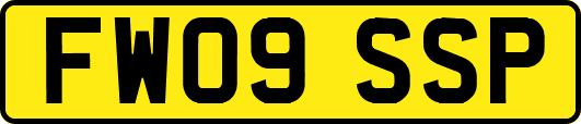 FW09SSP