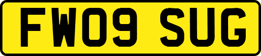 FW09SUG