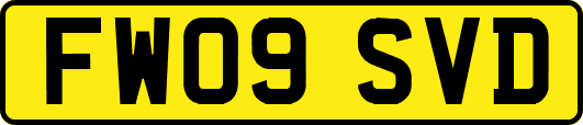 FW09SVD