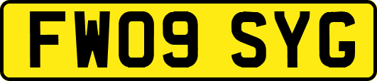FW09SYG