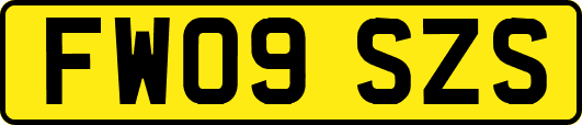 FW09SZS
