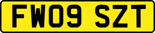 FW09SZT