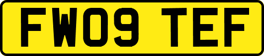 FW09TEF