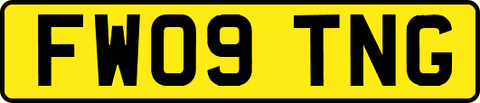 FW09TNG
