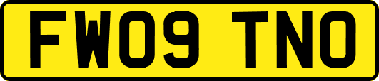 FW09TNO