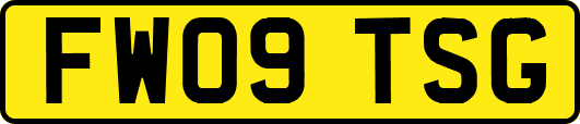 FW09TSG