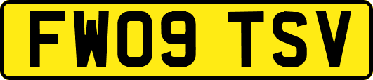 FW09TSV