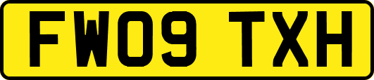 FW09TXH
