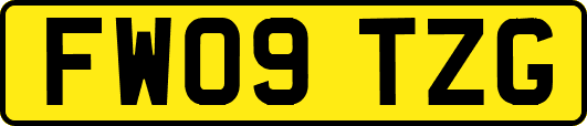 FW09TZG