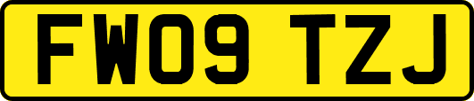 FW09TZJ