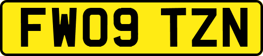 FW09TZN