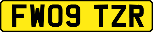 FW09TZR