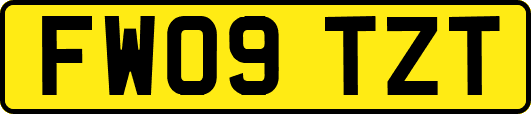 FW09TZT