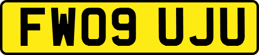 FW09UJU