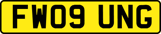 FW09UNG