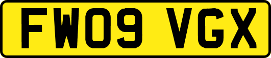 FW09VGX