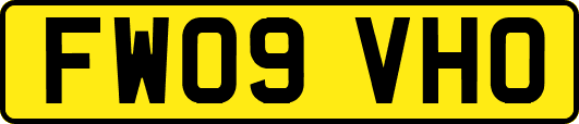 FW09VHO