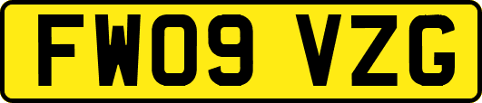 FW09VZG