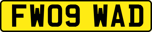 FW09WAD