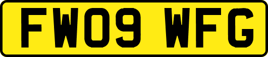 FW09WFG