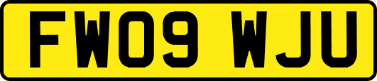 FW09WJU