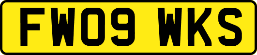 FW09WKS
