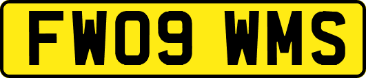 FW09WMS