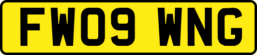 FW09WNG