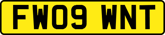 FW09WNT