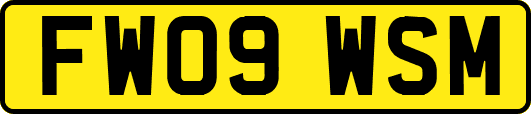 FW09WSM