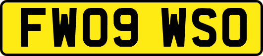 FW09WSO