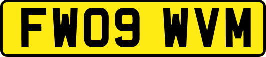 FW09WVM