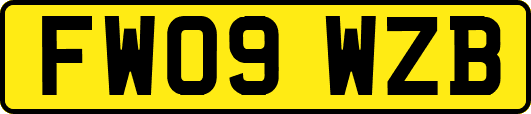 FW09WZB