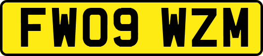 FW09WZM