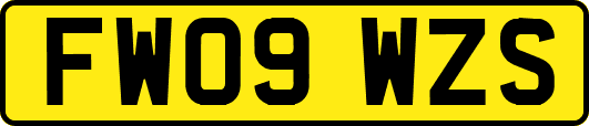 FW09WZS