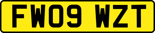 FW09WZT