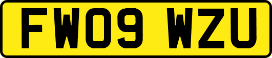 FW09WZU