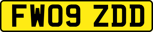 FW09ZDD