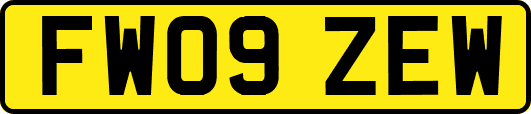 FW09ZEW