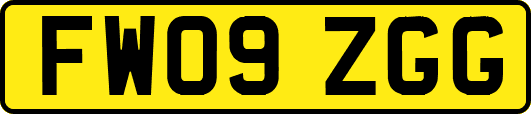 FW09ZGG