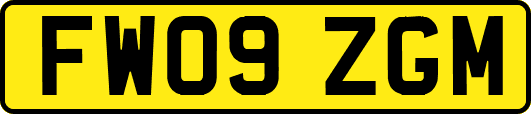 FW09ZGM