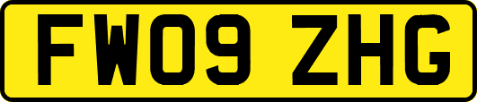 FW09ZHG