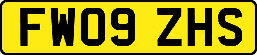 FW09ZHS